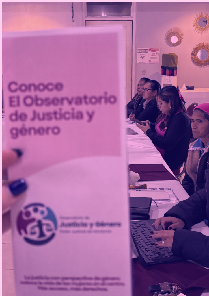 Observatorio de Justicia y Género